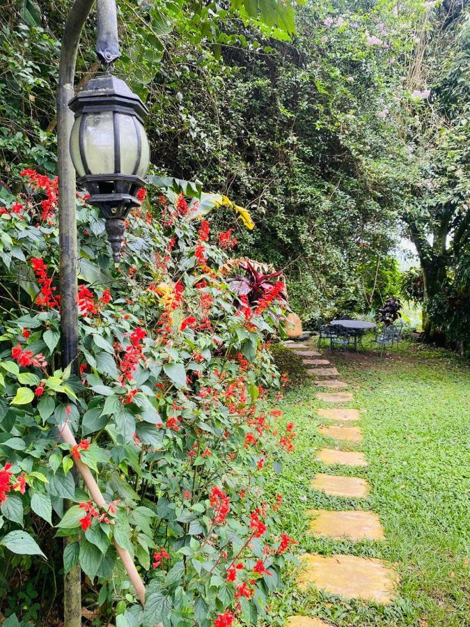 Finca Hotel Los Girasoles Montenegro Eksteriør billede